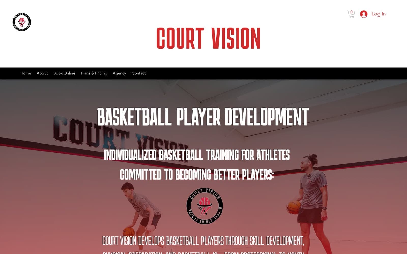 The Court Vision homepage on courtvisionskills.com, where 6AI does the SEO, at desktop width
